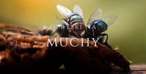 opryski na muchy